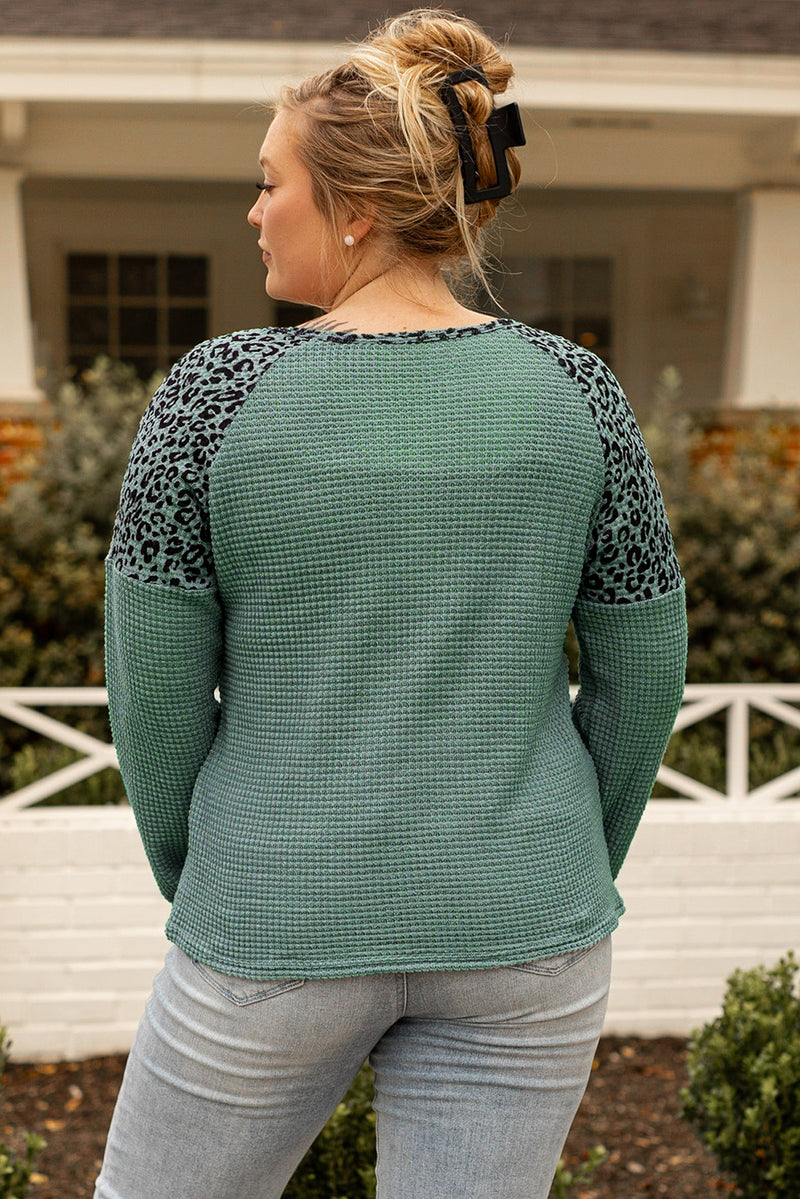 Mist Green Leopard Patchwork Textured Knit Plus Size Henley Top