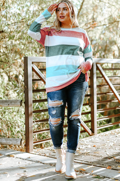 Stripe Plus Size Colorblock Pullover Top