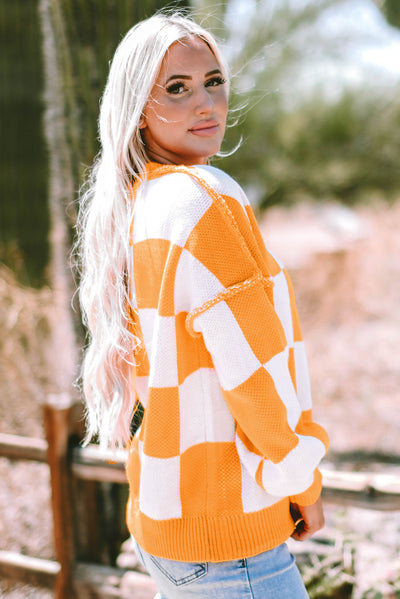 Rose Stripe Checkered Bishop Sleeve Sweater