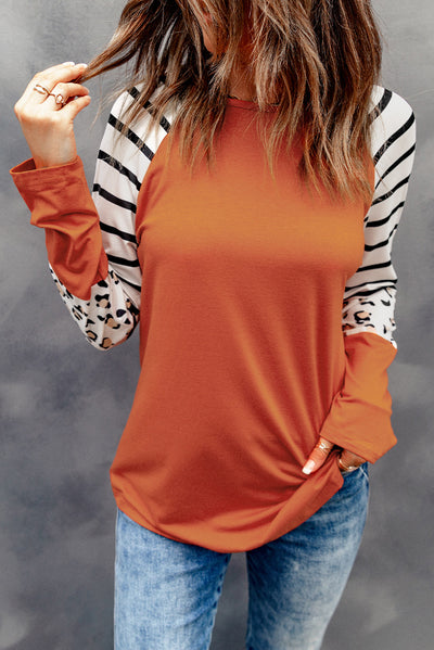 Striped Animal Print Colorblock Long Sleeve Top